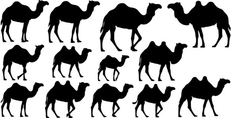 Camel silhouettes, Camel silhouette set, Camel vector illustration, Camel, Camel clipart