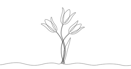 Three tulips on stems in continuous one line art style. Flower bouquet sketch with editable black stroke on white background. Vector illustration.