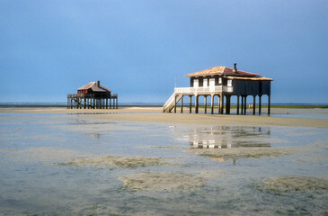 Cabane tchanquée, Ile aux Oiseaux, La Teste de Buch, Bassin d'Arcachon, 33, Gironde, France
