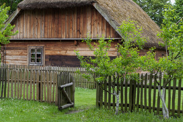 Stara wiejska drewniana duża chałupa z dachem krytym strzechą słomianą otoczona drewnianym płotem