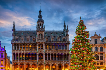 A beautiful decorated Christmas Tree at the Grand Place in Brussels, Belgium, during dusk for the festive season