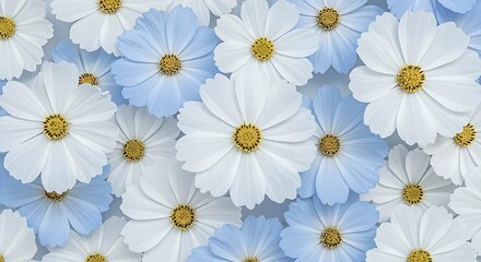 White and Blue Daisies Floral Pattern with Yellow Centers