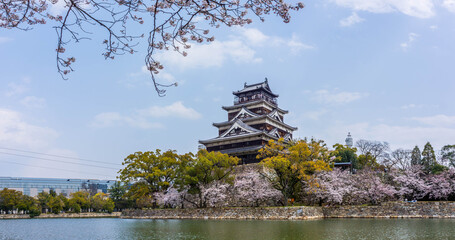 Hiroshima Castle with Cherry Blossoms, Japan