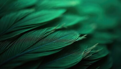 Close up macro view of overlapping dark green feathers. Fine detailed texture shows soft layered structure and delicate lines. Natural pattern creates calming organic backdrop.