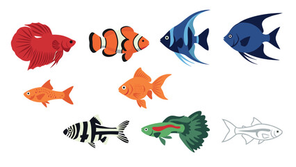 Colorful aquarium fish collection featuring tropical species