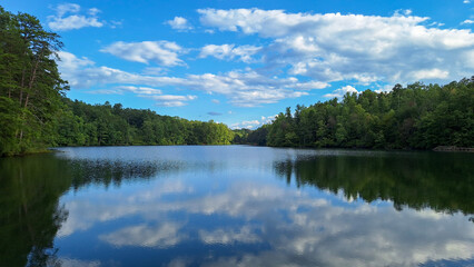 Cloud reflections over calm forest lake under blue sky