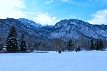 Snow covered field with trees and mountains in Julian alps in Gorenjska, Slovenia