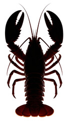 Lobster silhouette