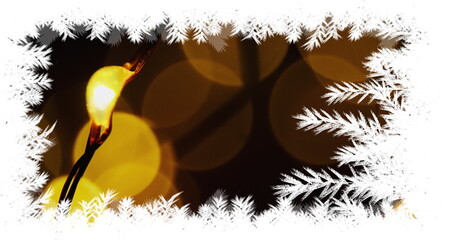 Christmas tree border with lights