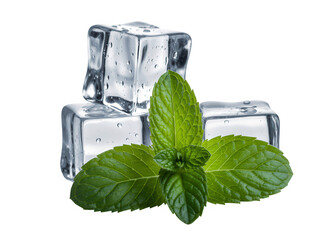 Three ice cubes with fresh green mint leaves on black isolated on a transparent background