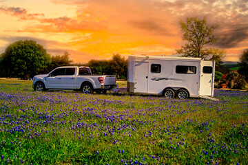 truck and horse trailer in bluebonnet field in Texas