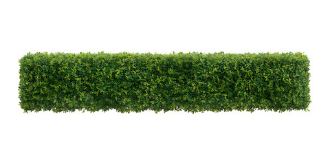 Rectangular green hedge isolated on transparent background