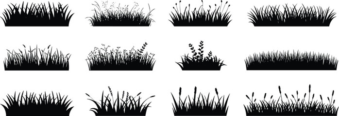 Black grass silhouette set, meadow plants and garden weeds collection, nature vector icons, lawn border elements, wild field greenery, botanical sketch, outdoor landscape design, isolated on white 