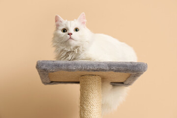 Cute white cat lying on scratching post against beige background
