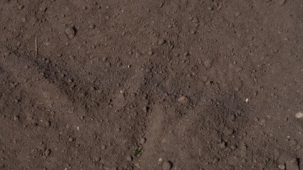 Background of dark fertile soil texture with small organic clumps.