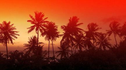 The Tropical palm trees with red sky sunset silhouette in Summer background