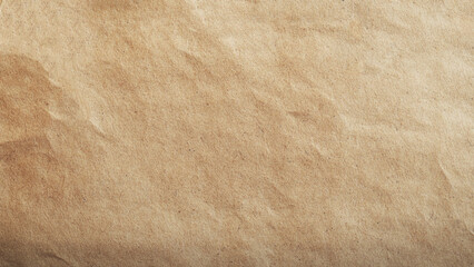 Natural Brown Paper Texture. Blank Brown Paper Background for Design