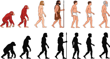 Human Evolution Set Showing Progression from Ape to Modern Man with Detailed Figures and Silhouettes Illustrating Biological Development, History, and Evolutionary Timeline Concept.