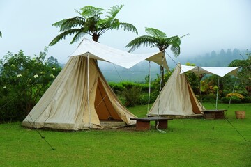 Glamping tents set in lush tropical garden, showcasing outdoor accommodation, eco tourism, and peaceful nature lifestyle.