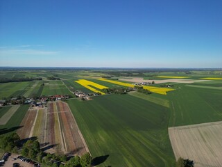 Województwo Świętokrzyskie - Polska - pola tulipanó w rozkwicie, piękne kolory i krajobraz wiejski zdjęcie wykonane dronem z powietrza. Tulipany, pola, drogi, niebo, krajobraz wiejski