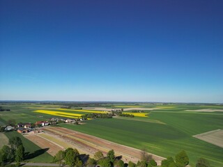 Województwo Świętokrzyskie - Polska - pola tulipanó w rozkwicie, piękne kolory i krajobraz wiejski zdjęcie wykonane dronem z powietrza. Tulipany, pola, drogi, niebo, krajobraz wiejski