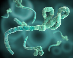 Ebola virus under the microscope. Epidemic contagion