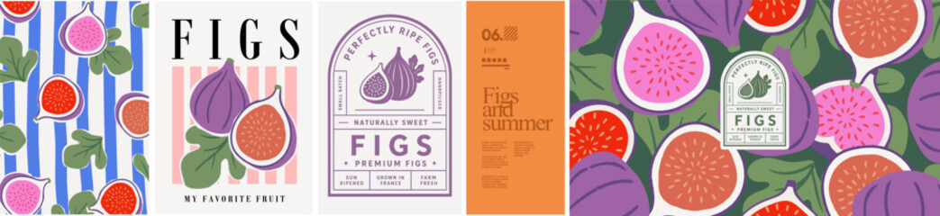 Figs and summer. Vector modern trendy illustration of fruit and leaves, striped pattern, textile or fabric ornament, print, vintage logo for background, packaging, label, or poster