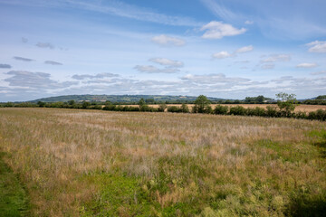 Open meadow and farmland with Bredon Hill in the distance under a summer sky near Ashchurch, Tewkesbury, Gloucestershire, England
