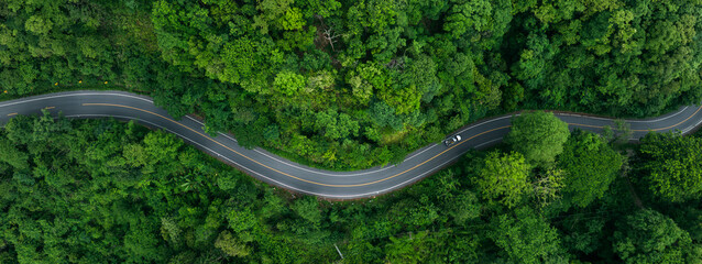 Scenic forest road with cars representing environmentally friendly transport and long term green investment strategies.