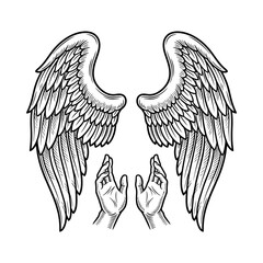 Pair of feathered wings above open human hands.
