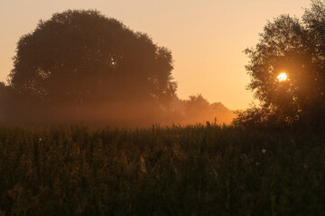 Scenic morning landscape with rising sun shining through tree branches, mist over meadow and silhouette trees during golden hour