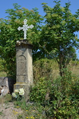 Przydrożna kapliczka z figurą Matki Bożej wśród drzew