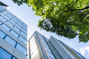 Green Building Modern Office Facade with Green Tree Canopy for Corporate ESG Sustainability and Eco Friendly Urban Real Estate Development, Low Angle Perspective Photo