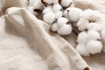 Cotton branch on light napkin, closeup