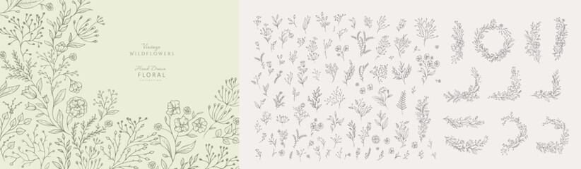 Set of hand drawn flowers and elements. Whimsy botanical elements for invitation, save the date card. Botanical doodle trendy greenery